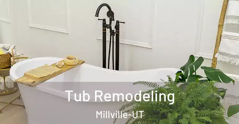 inner Bathroom imggen Tub Remodeling Millville-UT