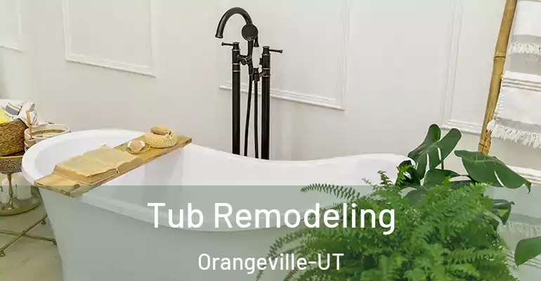 inner Bathroom imggen Tub Remodeling Orangeville-UT