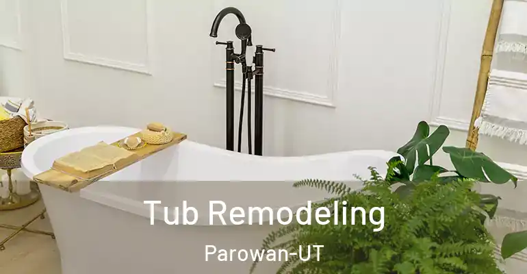 inner Bathroom imggen Tub Remodeling Parowan-UT