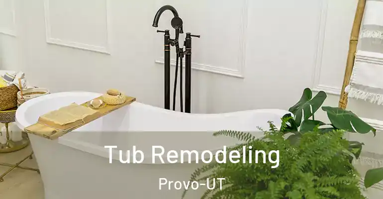 inner Bathroom imggen Tub Remodeling Provo-UT