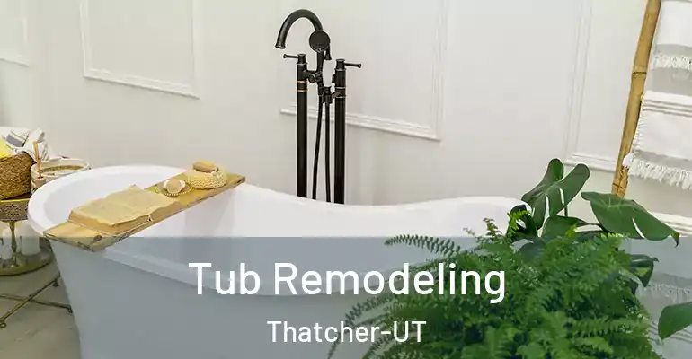inner Bathroom imggen Tub Remodeling Thatcher-UT