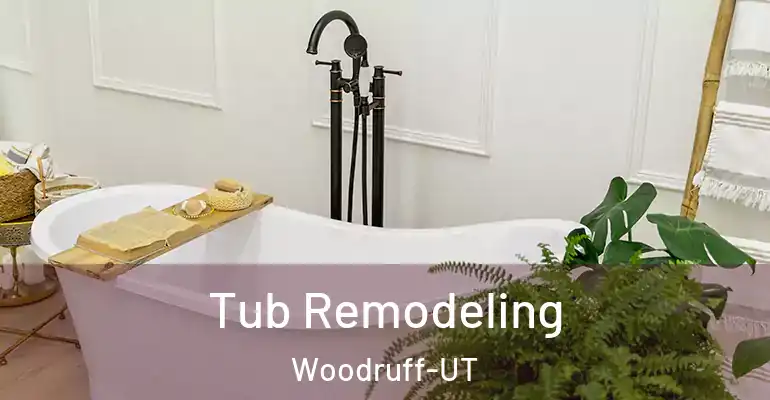 inner Bathroom imggen Tub Remodeling Woodruff-UT