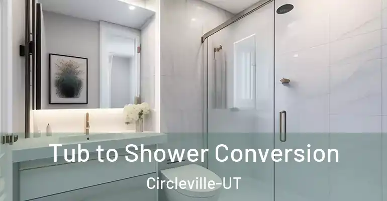 inner Bathroom imggen Tub to Shower Conversion Circleville-UT