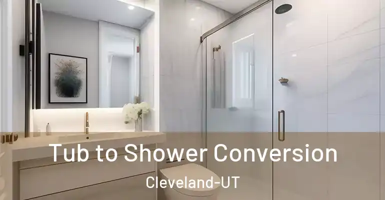 inner Bathroom imggen Tub to Shower Conversion Cleveland-UT