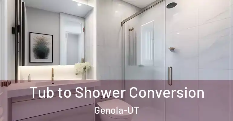 inner Bathroom imggen Tub to Shower Conversion Genola-UT