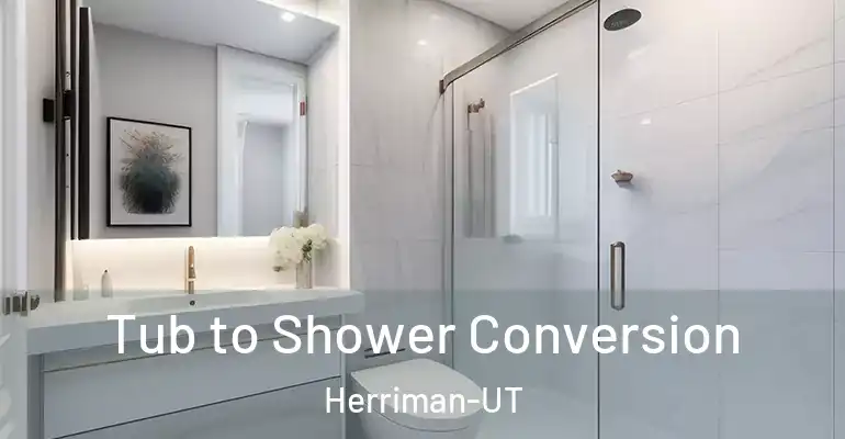 inner Bathroom imggen Tub to Shower Conversion Herriman-UT