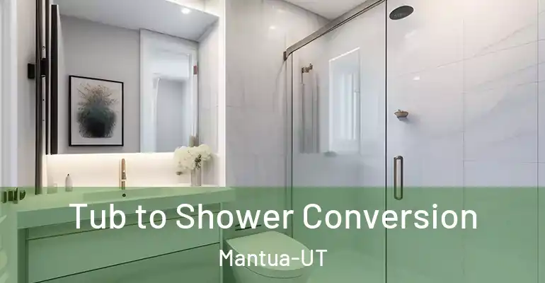 inner Bathroom imggen Tub to Shower Conversion Mantua-UT