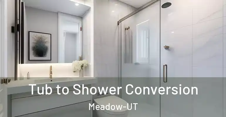 inner Bathroom imggen Tub to Shower Conversion Meadow-UT