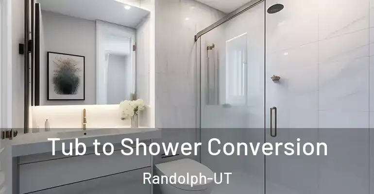 inner Bathroom imggen Tub to Shower Conversion Randolph-UT