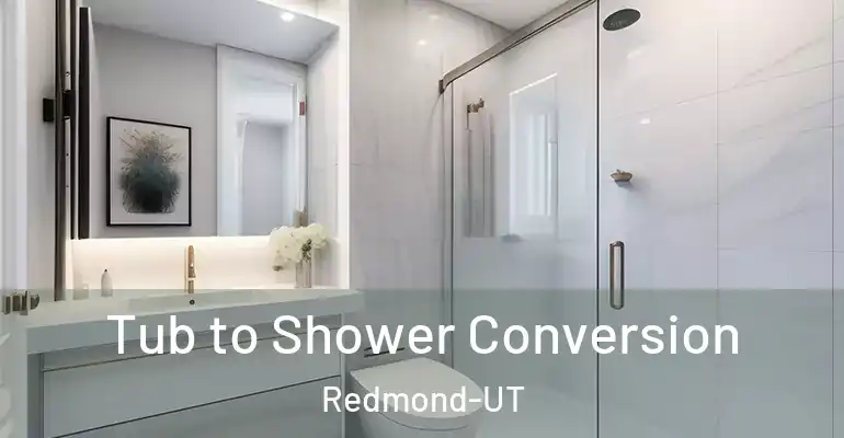 inner Bathroom imggen Tub to Shower Conversion Redmond-UT