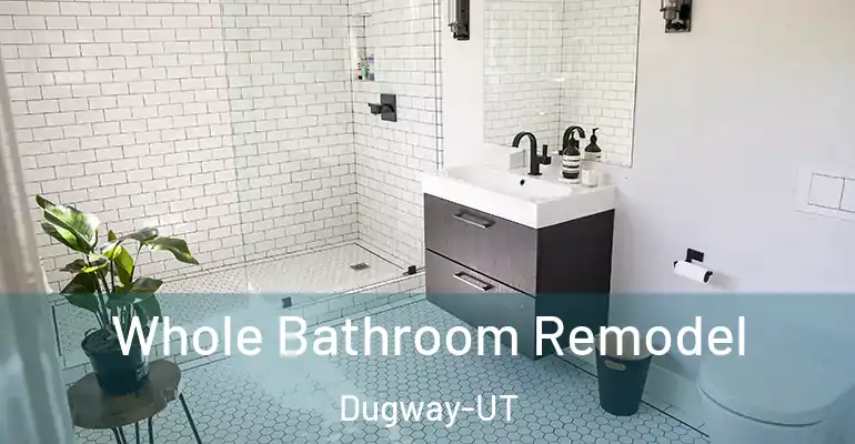 inner Bathroom imggen Whole Bathroom Remodel Dugway-UT