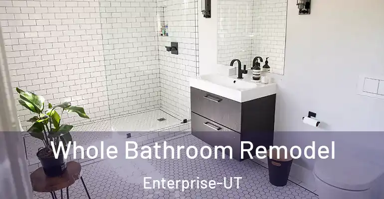 inner Bathroom imggen Whole Bathroom Remodel Enterprise-UT