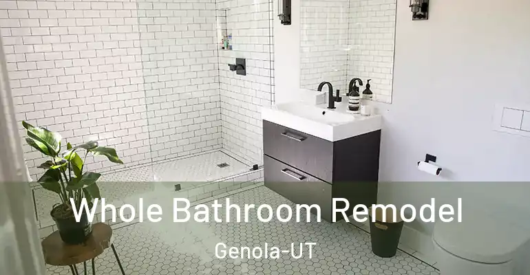 inner Bathroom imggen Whole Bathroom Remodel Genola-UT