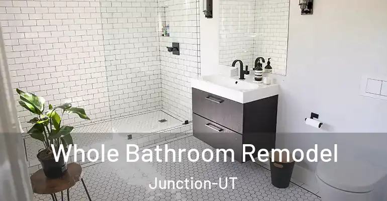 inner Bathroom imggen Whole Bathroom Remodel Junction-UT