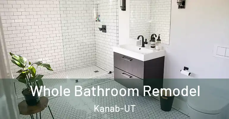 inner Bathroom imggen Whole Bathroom Remodel Kanab-UT