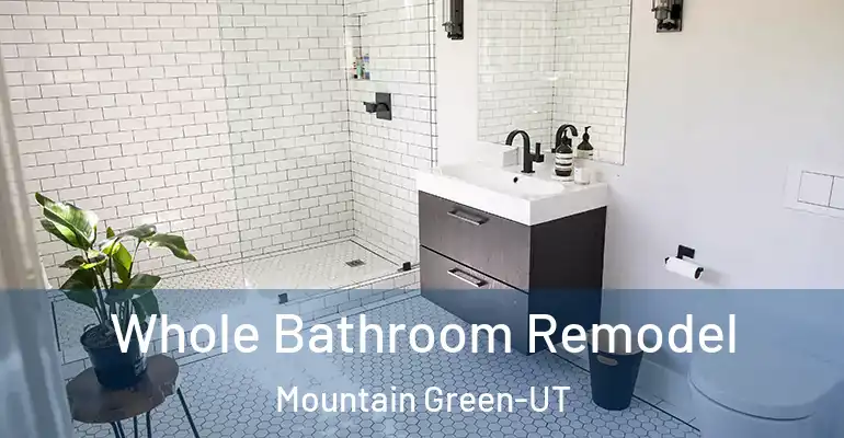 inner Bathroom imggen Whole Bathroom Remodel Mountain Green-UT