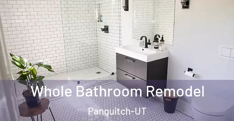 inner Bathroom imggen Whole Bathroom Remodel Panguitch-UT