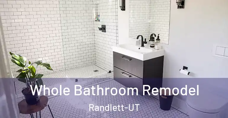 inner Bathroom imggen Whole Bathroom Remodel Randlett-UT