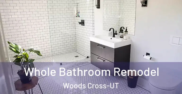 inner Bathroom imggen Whole Bathroom Remodel Woods Cross-UT